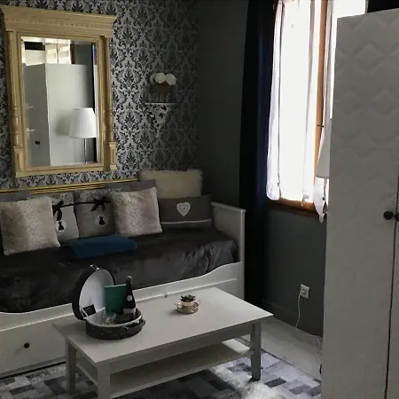 Medicis Avec Garage 펜션